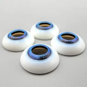 Fundus Advanced Anterior Segment Replacement