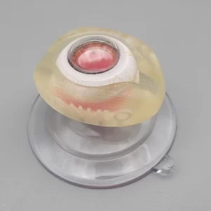 Intravitreal Injection Kit