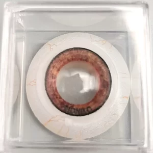 OKULO Anterior Segment Brown 8 mm