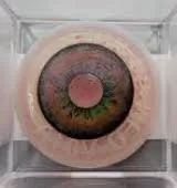 LinK Shallow Anterior Segment